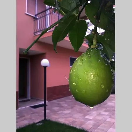 Casa Del Sole דירה *