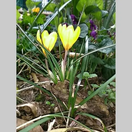 דירה Casa Del Sole San Salvatore (Genoa)