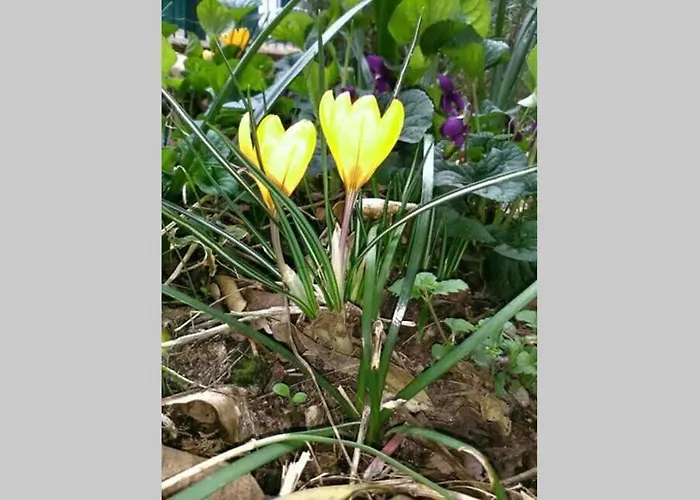 Διαμέρισμα Casa Del Sole San Salvatore (Genoa)