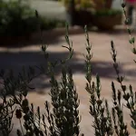 Casa Del Sole *