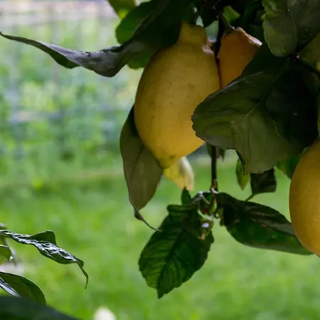 Апартаменты Casa Del Sole San Salvatore (Genoa)